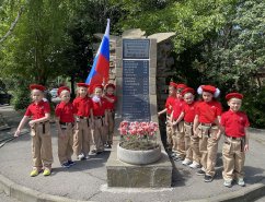 img (3)